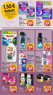 REWE PETZ Prospekt (ab 26.01.2026) zum Blättern - Seite 24