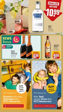 REWE PETZ Prospekt (ab 26.01.2026) zum Blättern - Seite 26