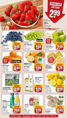 REWE PETZ Prospekt (ab 26.01.2026) zum Blättern - Seite 6