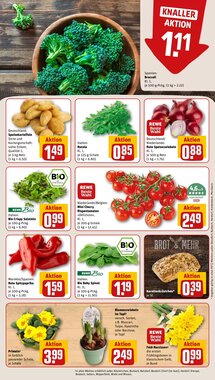 REWE PETZ Prospekt (ab 26.01.2026) zum Blättern - Seite 7