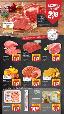 REWE PETZ Prospekt (ab 26.01.2026) zum Blättern - Seite 8