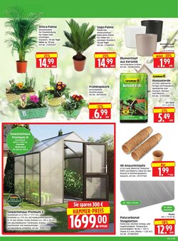 Herkules Baumarkt Prospekt (ab 26.01.2026) zum Blättern - Seite 2