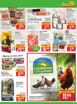 Herkules Baumarkt Prospekt (ab 26.01.2026) zum Blättern - Seite 7