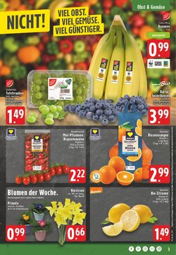 EDEKA Vogl Prospekt (ab 26.01.2026) zum Blättern - Seite 3