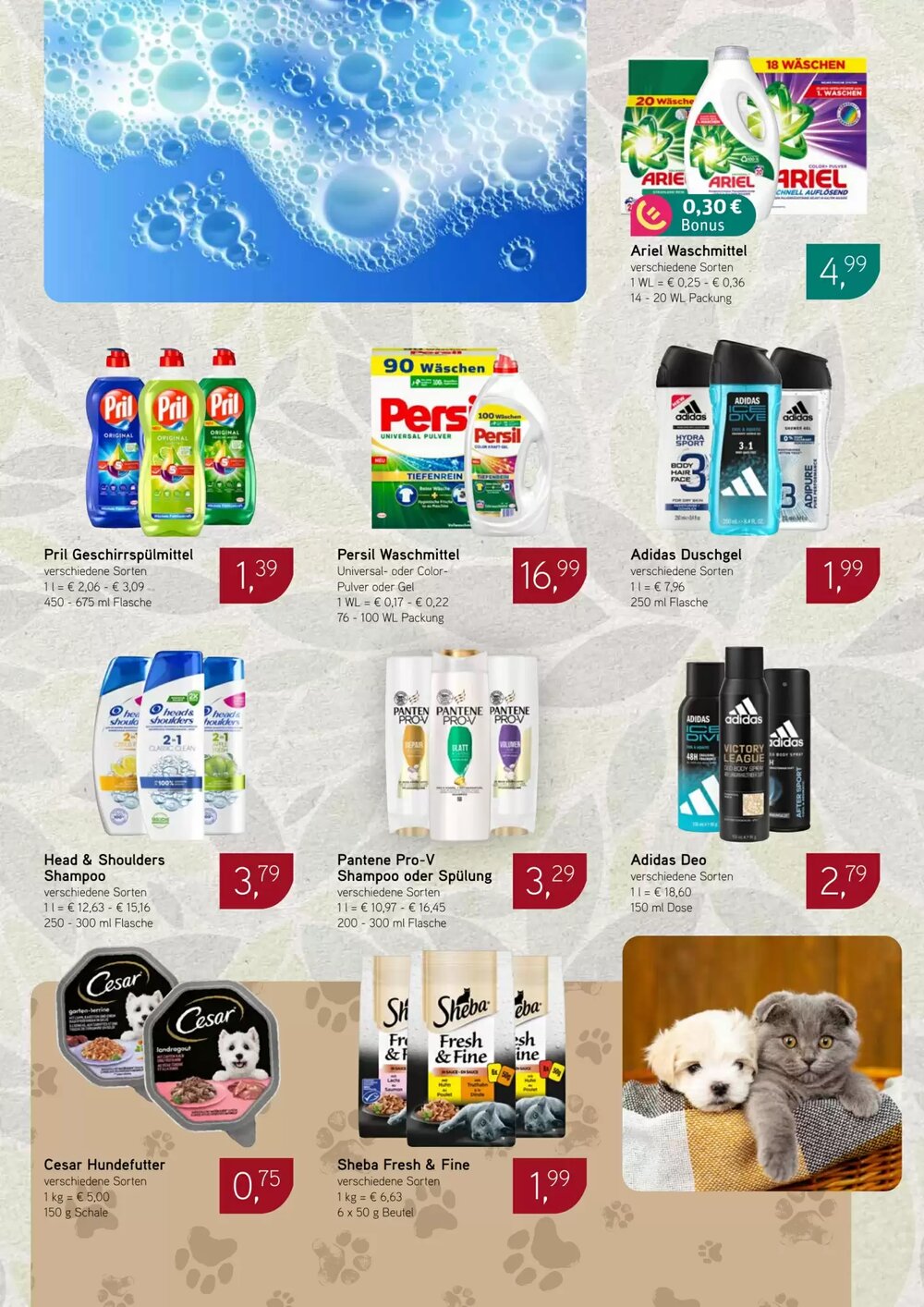 Dornseifer Prospekt (ab 26.01.2026) zum Blättern - Seite 14