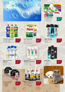 Dornseifer Prospekt (ab 26.01.2026) zum Blättern - Seite 14