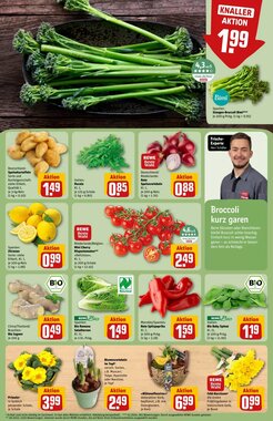 REWE Center Prospekt (ab 26.01.2026) zum Blättern - Seite 7