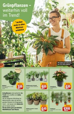 REWE Center Prospekt (ab 26.01.2026) zum Blättern - Seite 9