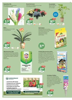 V Markt Prospekt (ab 29.01.2026) zum Blättern - Seite 16