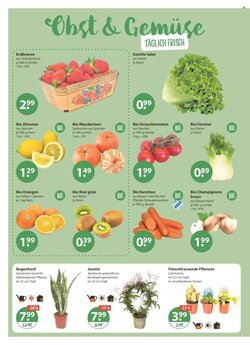V Markt Prospekt (ab 29.01.2026) zum Blättern - Seite 4