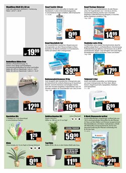 V Baumarkt Prospekt (ab 29.01.2026) zum Blättern - Seite 2