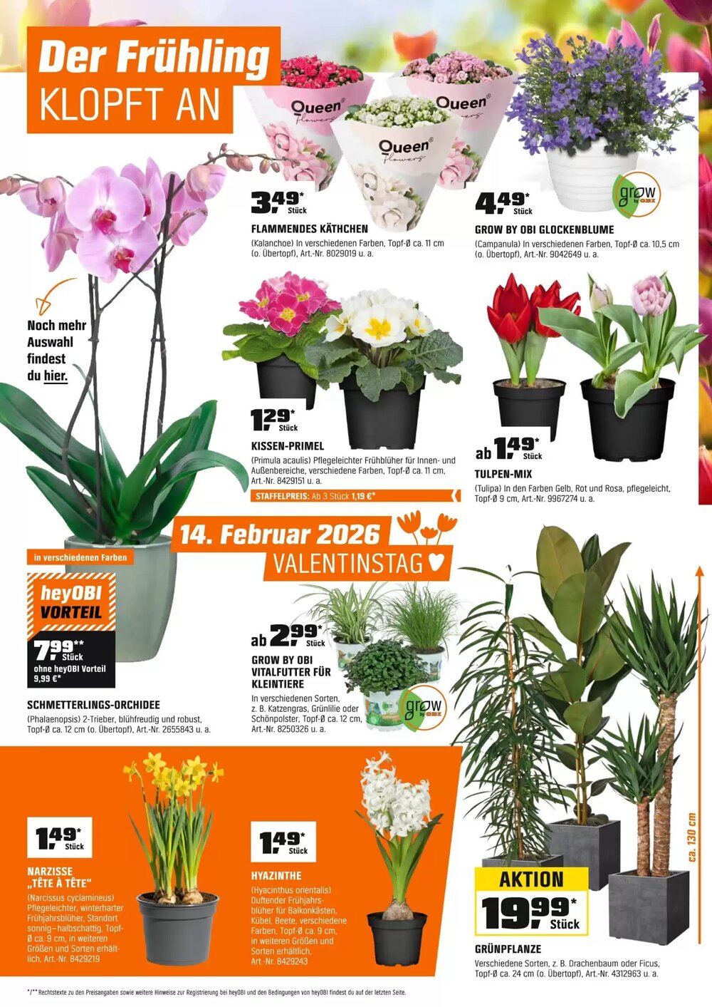 OBI Prospekt (ab 30.01.2026) zum Blättern - Seite 7