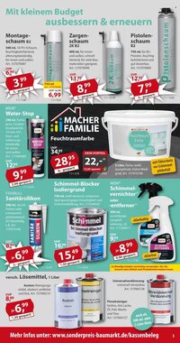 Sonderpreis Baumarkt Prospekt (ab 31.01.2026) zum Blättern - Seite 3