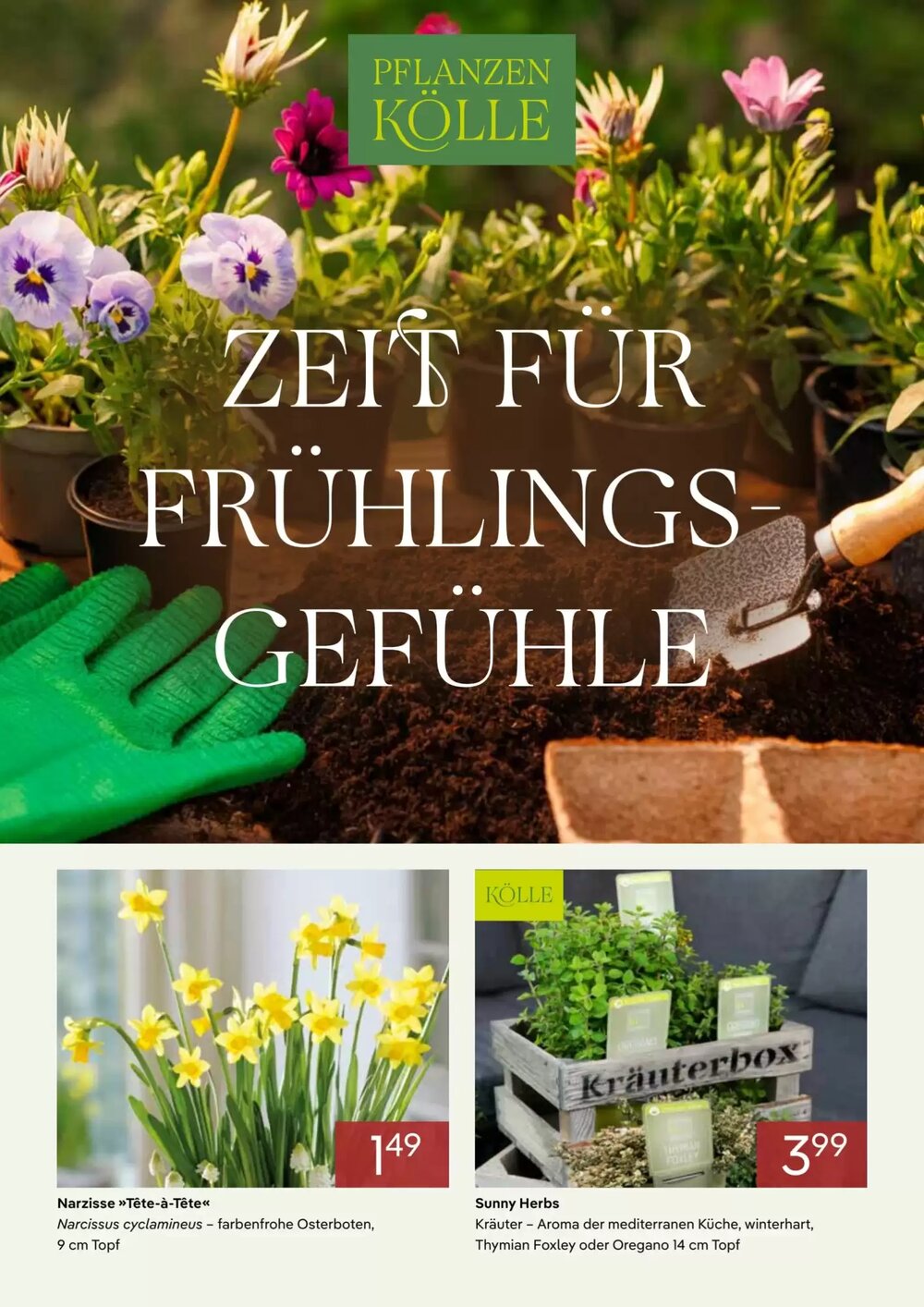 Pflanzen Kölle Prospekt (ab 01.02.2026) zum Blättern - Seite 1