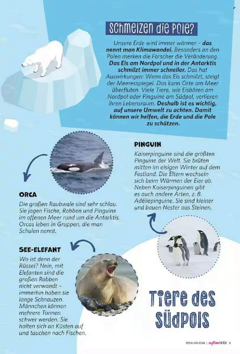 Combi Prospekt (ab 01.02.2026) zum Blättern - Seite 68