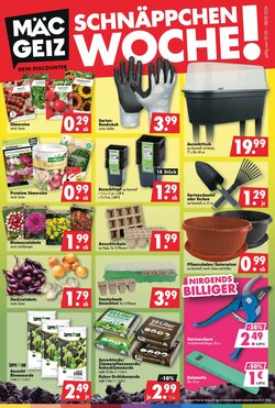 Mäc Geiz Prospekt (ab 02.02.2026) zum Blättern
