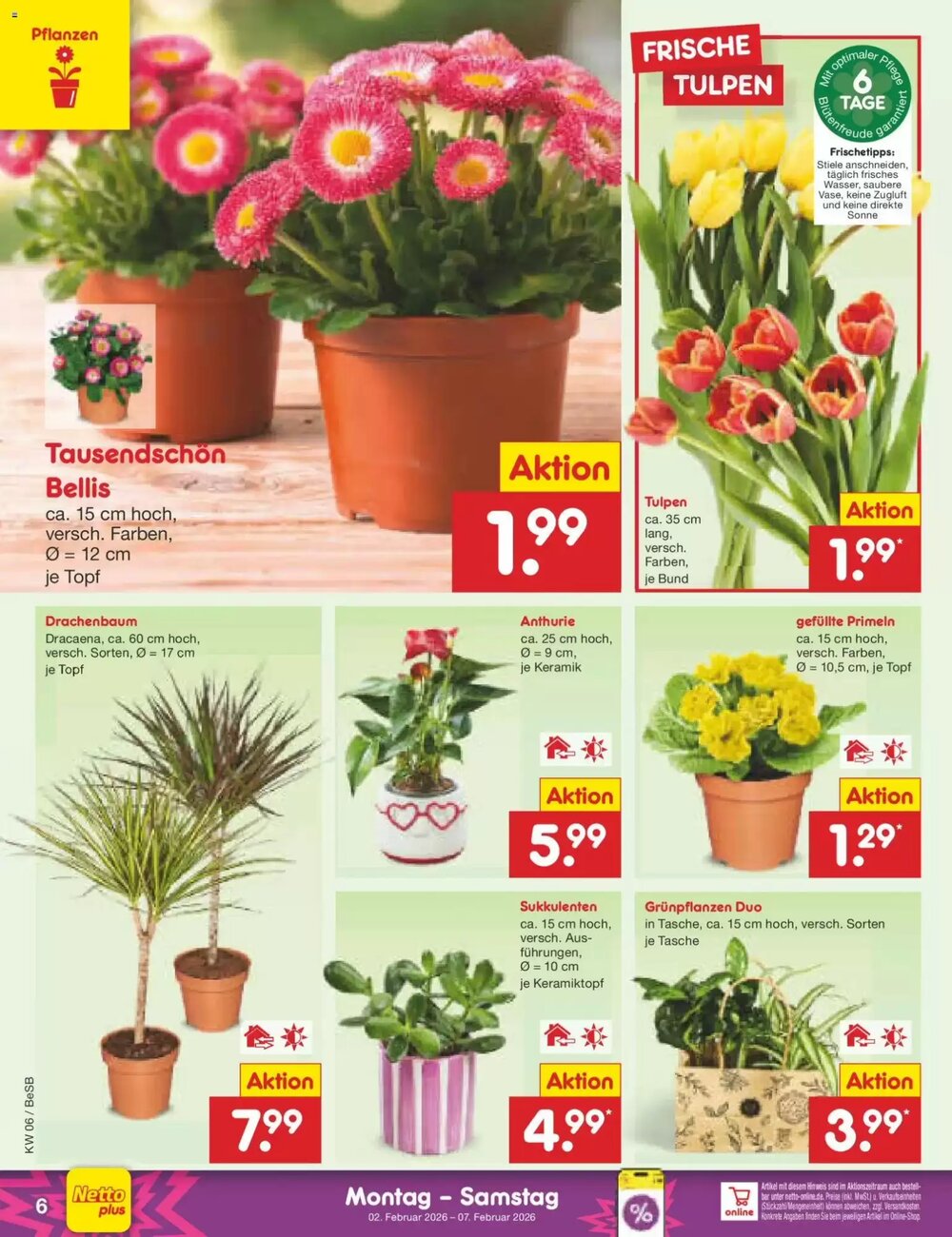 Netto Marken-Discount Prospekt (ab 02.02.2026) zum Blättern - Seite 6