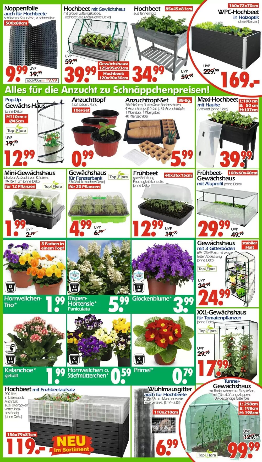 Wreesmann Prospekt (ab 02.02.2026) zum Blättern - Seite 3