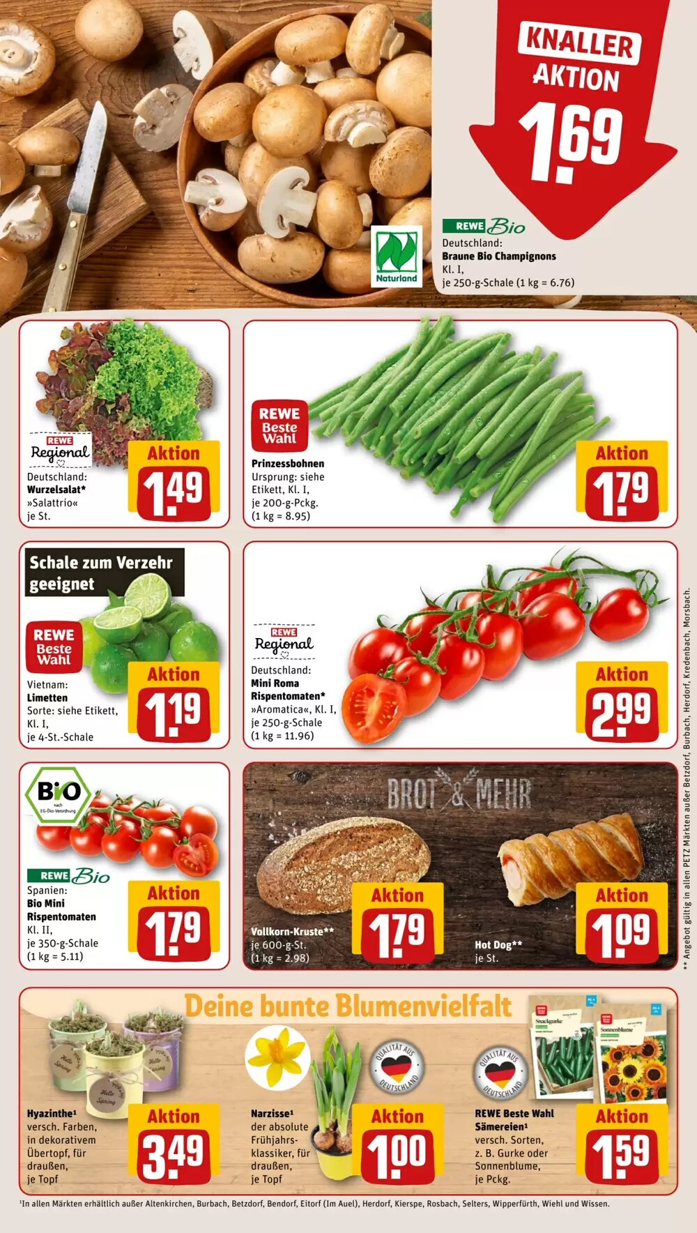 REWE PETZ Prospekt (ab 02.02.2026) zum Blättern - Seite 9