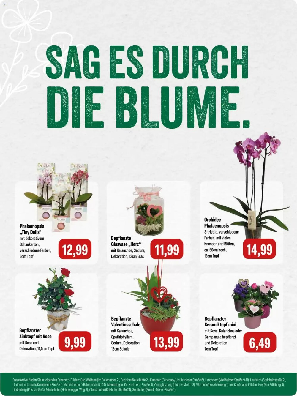 Feneberg Prospekt (ab 05.02.2026) zum Blättern - Seite 8