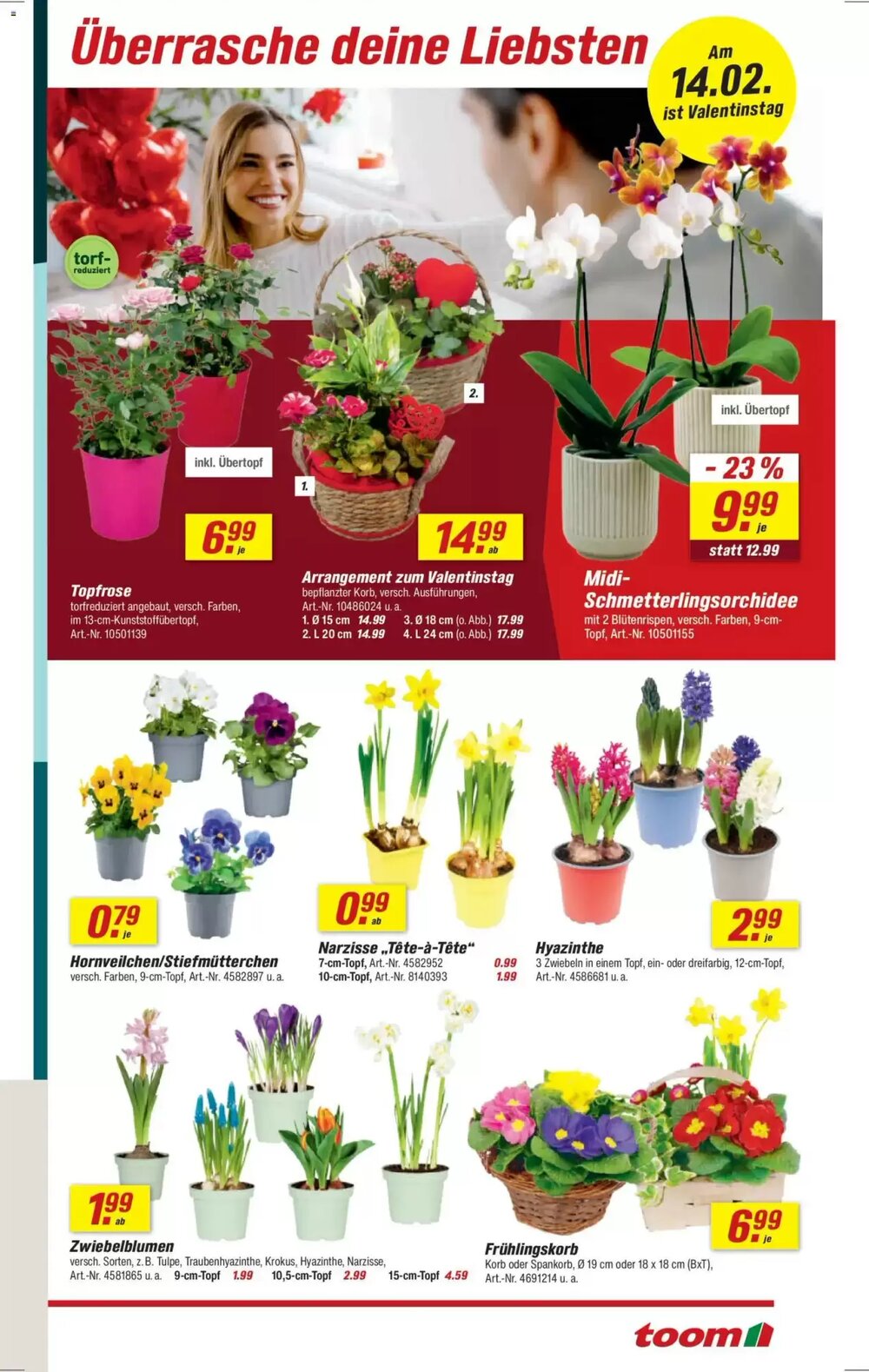 toom Baumarkt Prospekt (ab 07.02.2026) zum Blättern - Seite 3