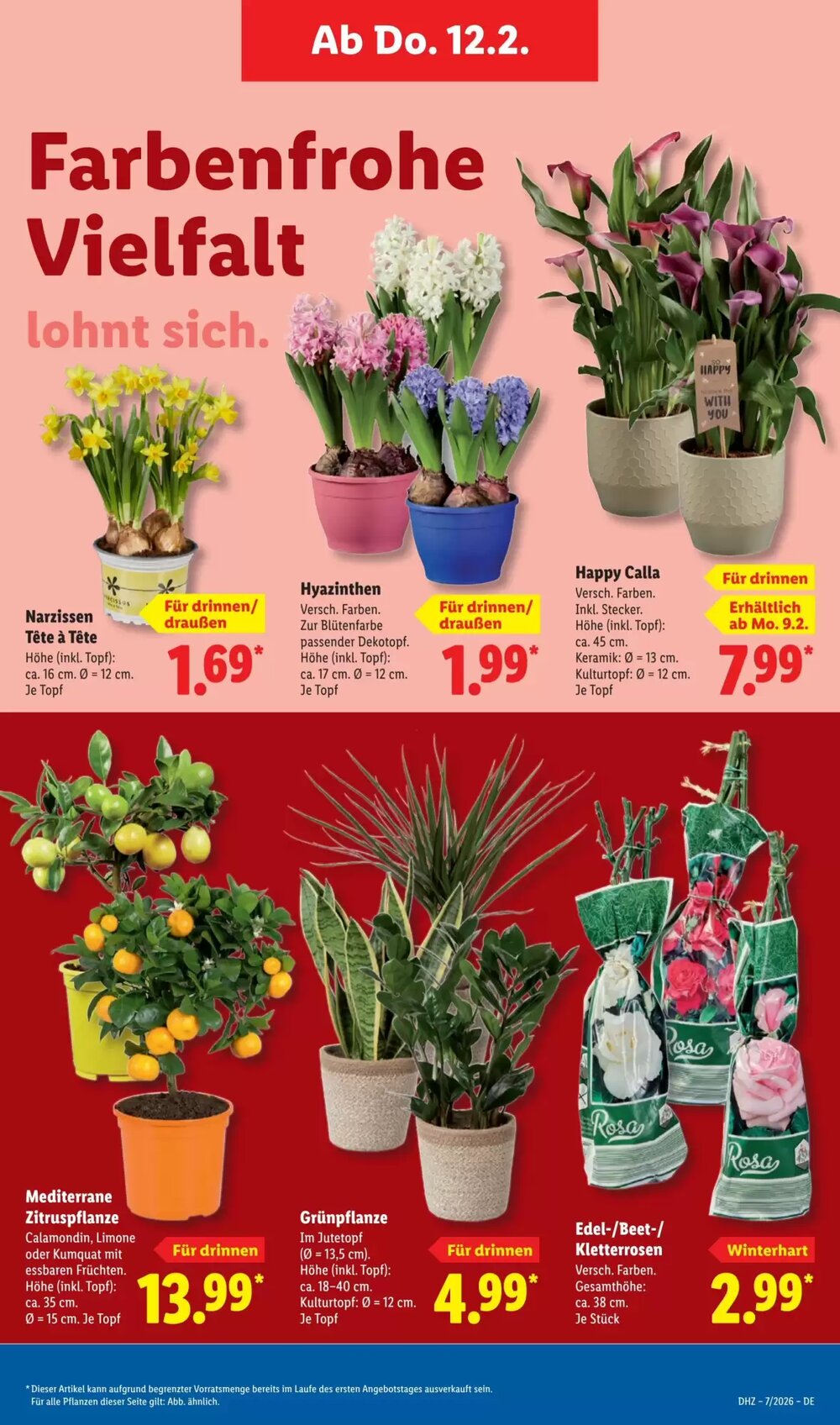 Lidl Prospekt (ab 09.02.2026) zum Blättern - Seite 11