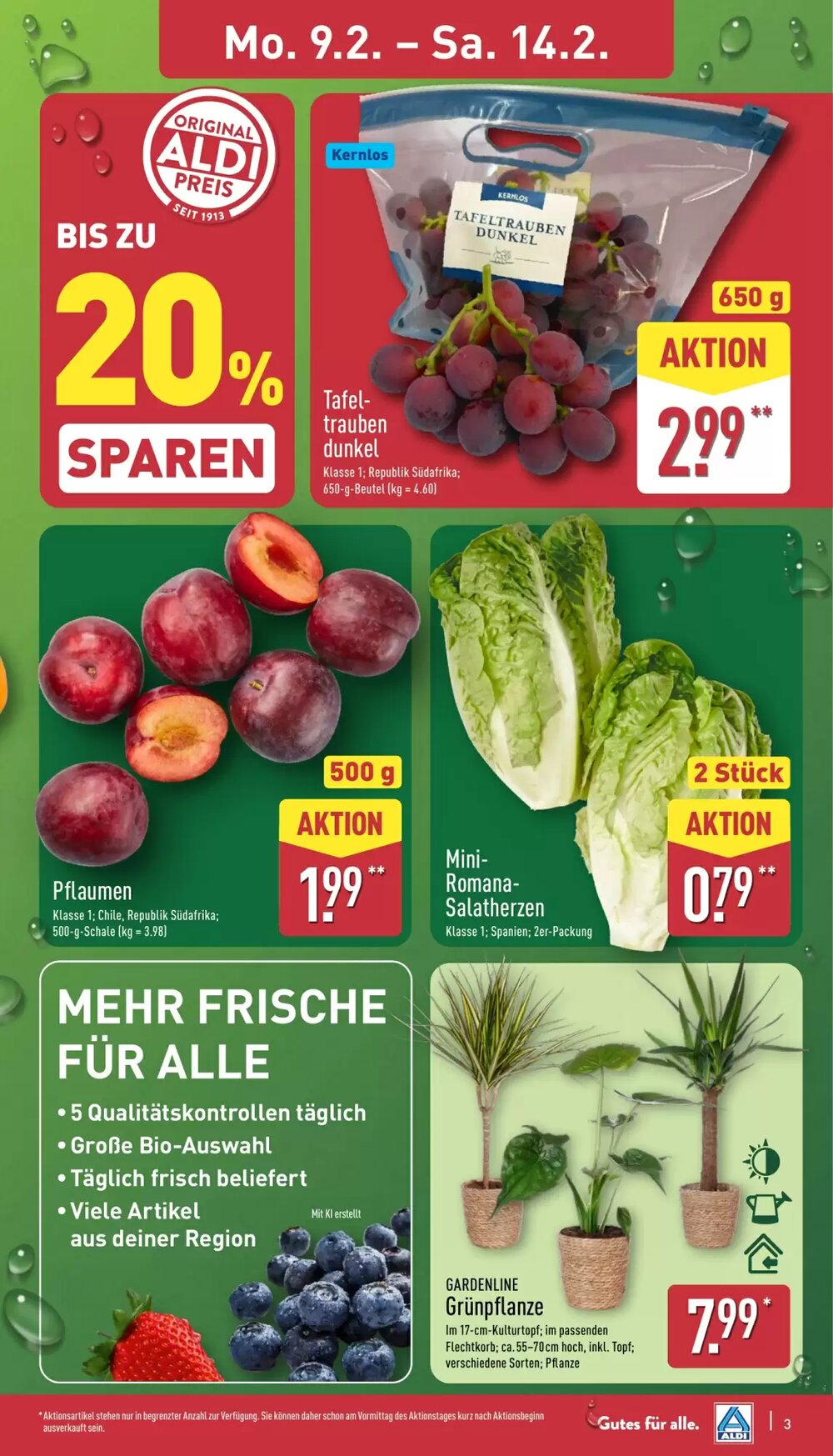 Aldi Nord Prospekt (ab 09.02.2026) zum Blättern - Seite 3