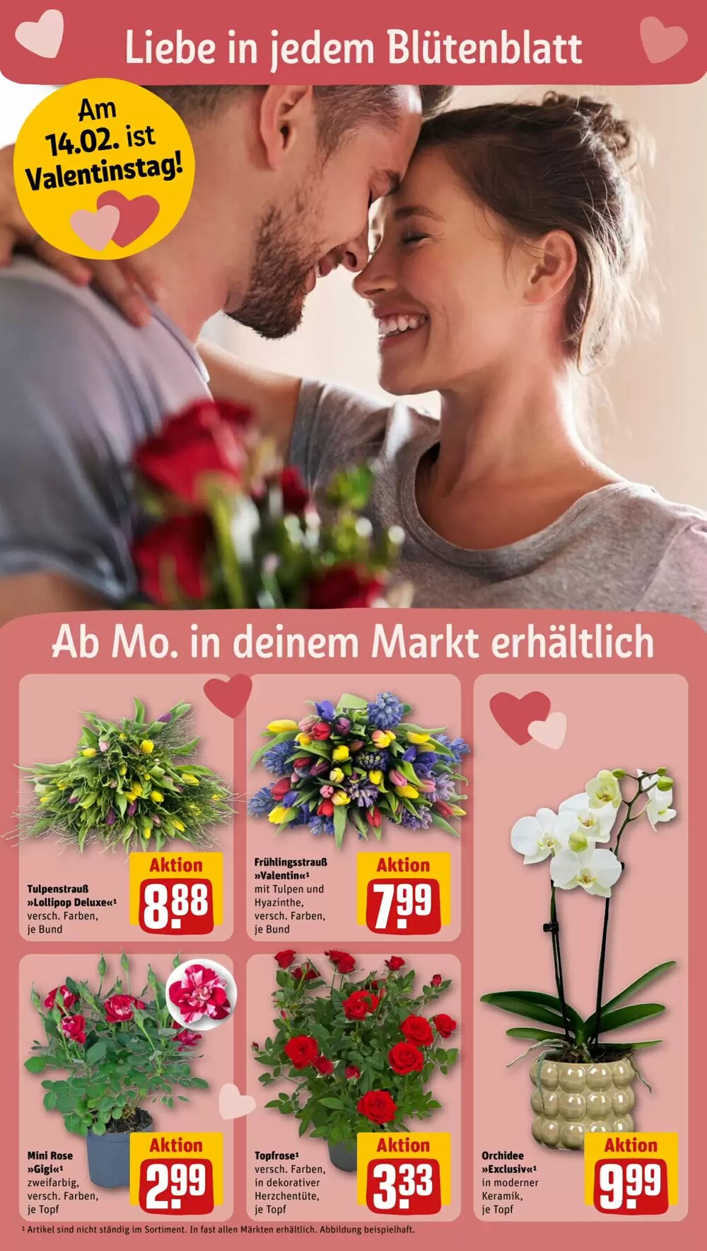 REWE PETZ Prospekt (ab 09.02.2026) zum Blättern - Seite 6