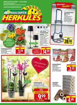 Herkules Baumarkt Prospekt (ab 09.02.2026) zum Blättern
