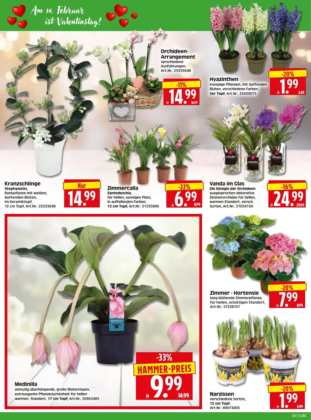 Herkules Baumarkt Prospekt (ab 09.02.2026) zum Blättern - Seite 2