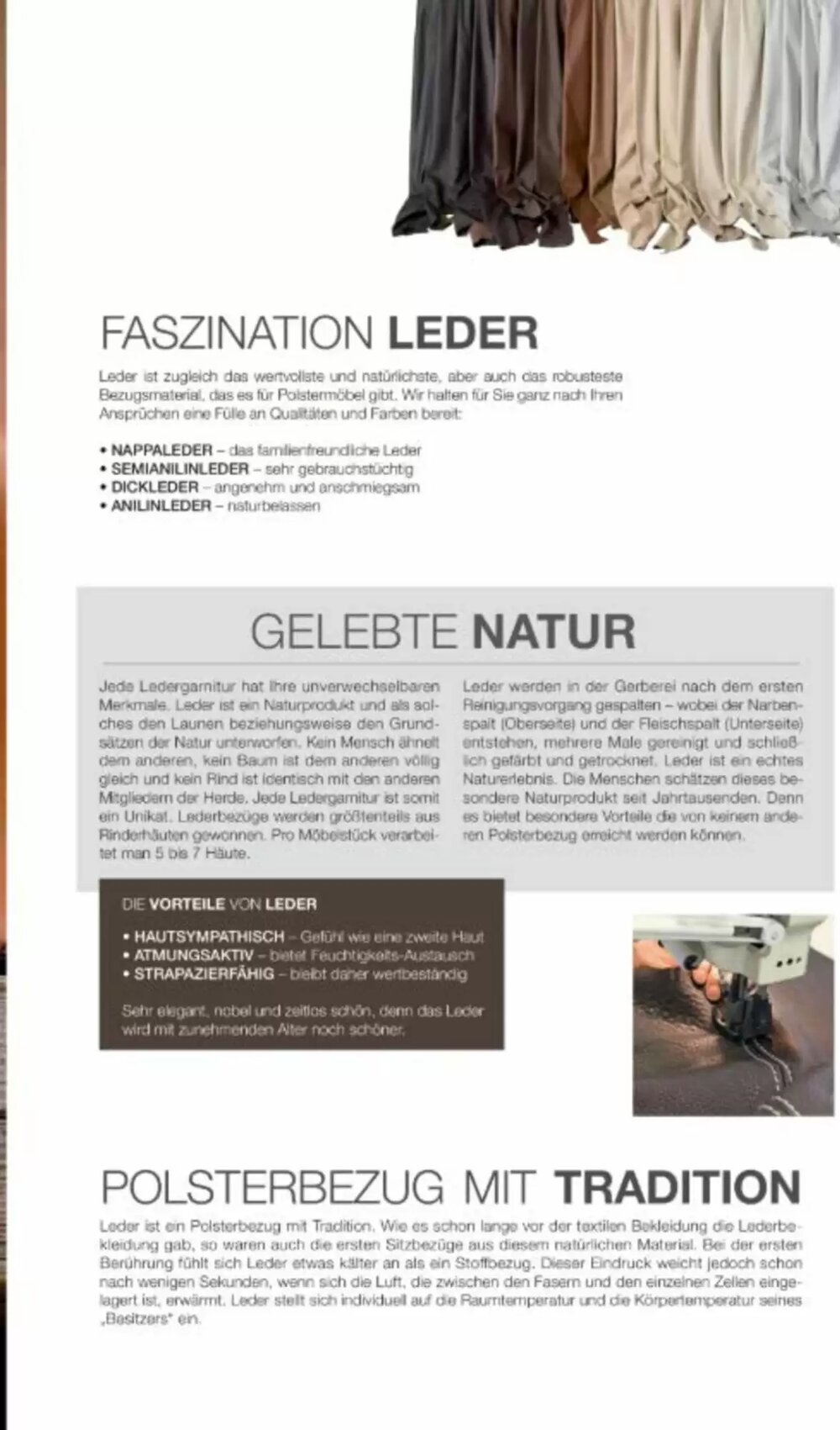 Multipolster Prospekt (ab 11.02.2026) zum Blättern - Seite 5