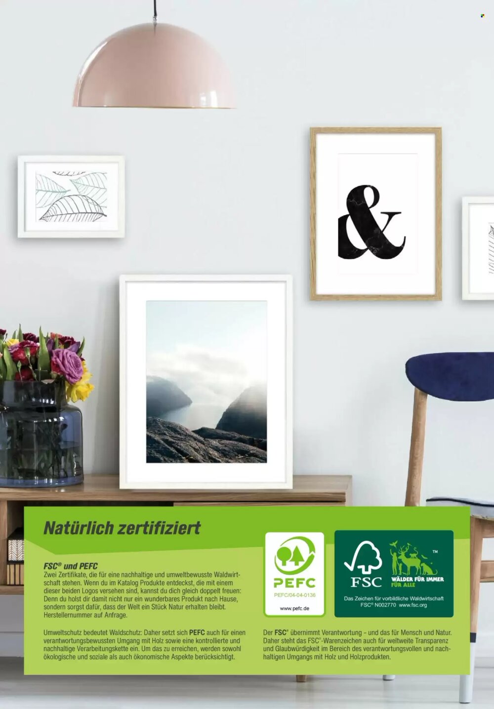 toom Baumarkt Prospekt (ab 14.02.2026) zum Blättern - Seite 2