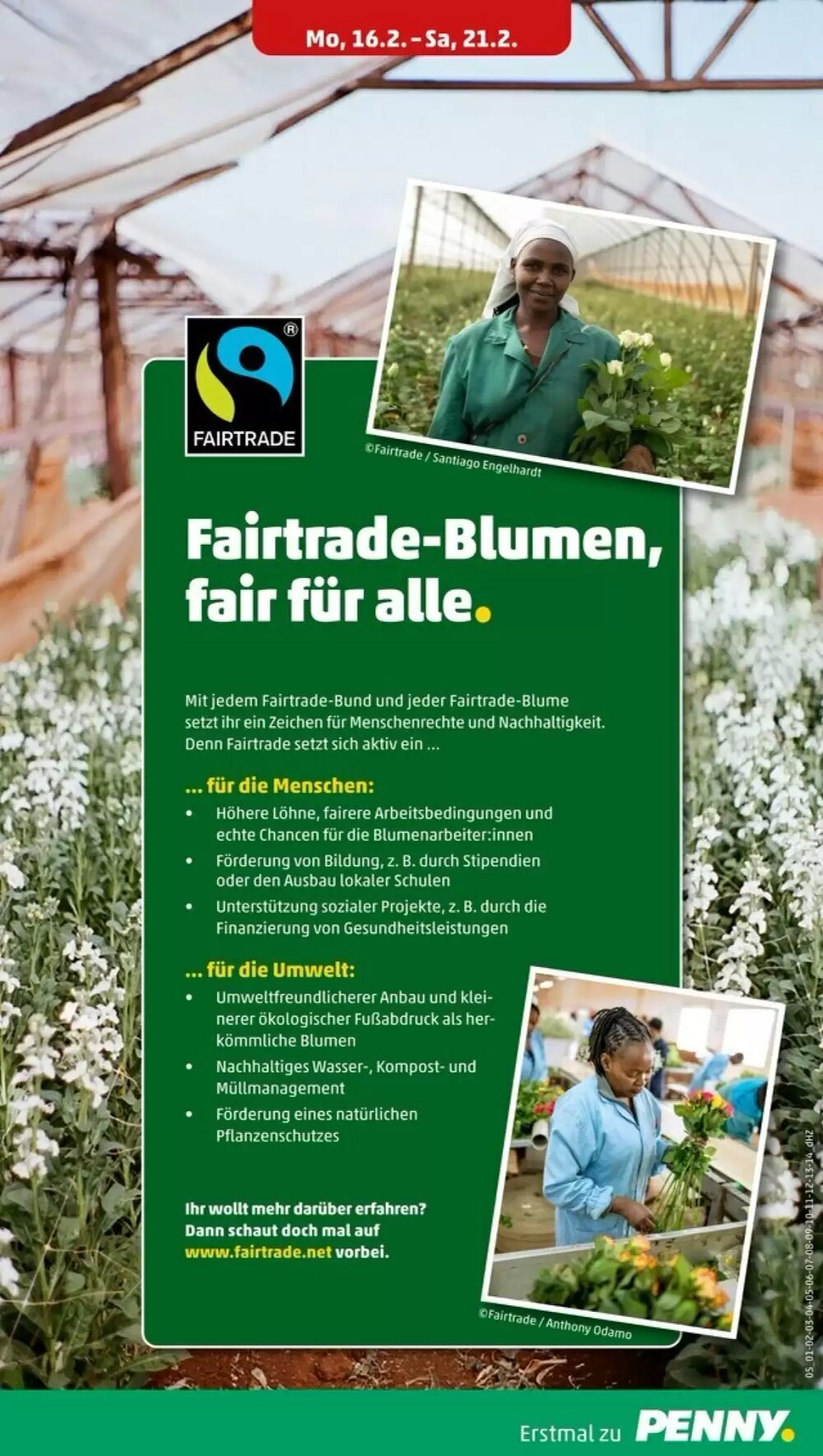 PENNY Prospekt (ab 16.02.2026) zum Blättern - Seite 7