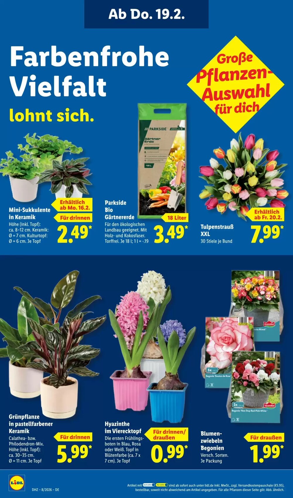 Lidl Prospekt (ab 16.02.2026) zum Blättern - Seite 26