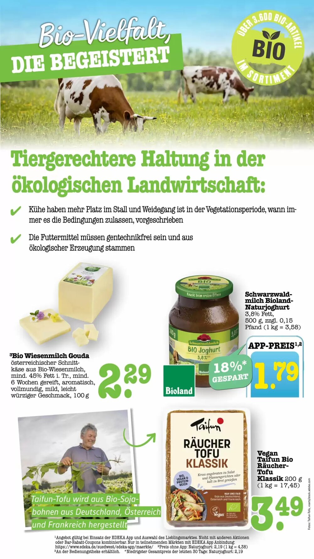 Scheck-in-Center Prospekt (ab 16.02.2026) zum Blättern - Seite 37