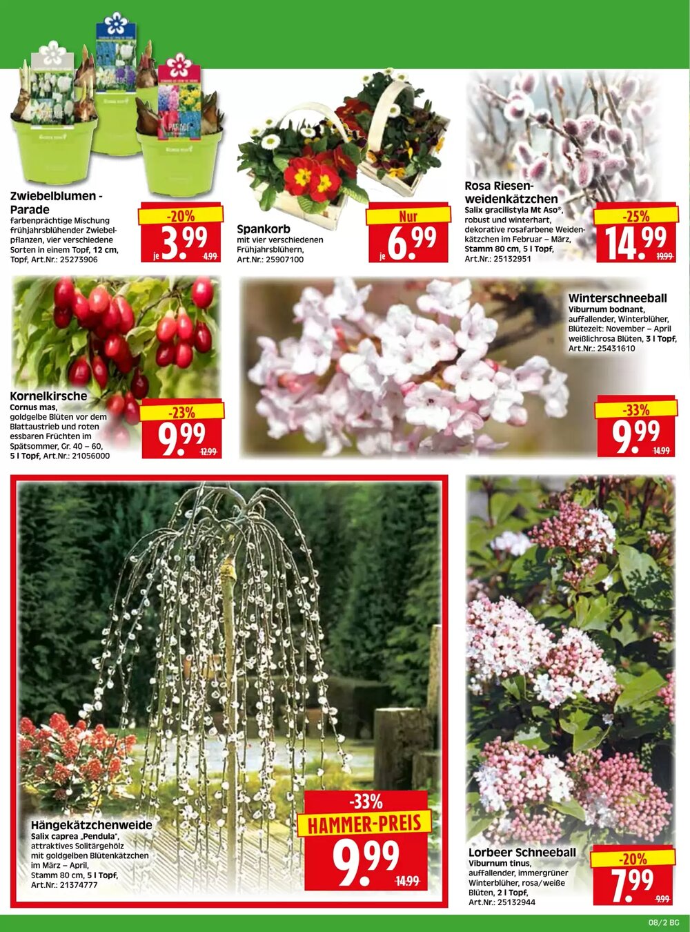 Herkules Baumarkt Prospekt (ab 16.02.2026) zum Blättern - Seite 2