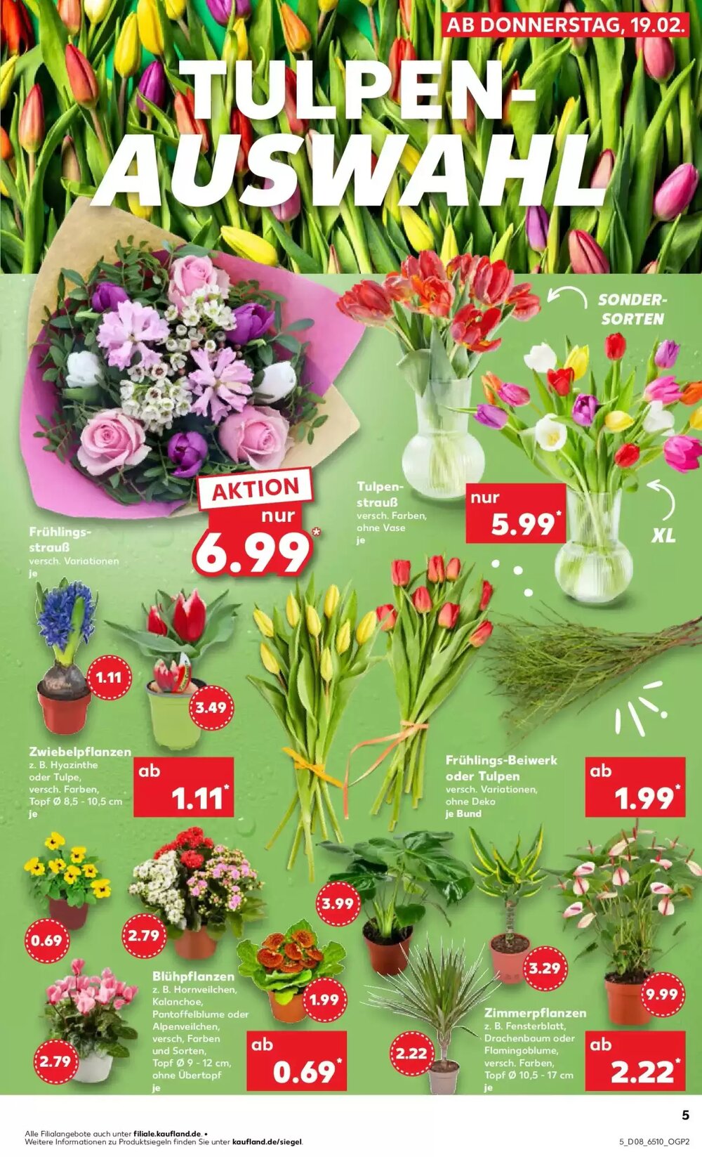 Kaufland Prospekt (ab 18.02.2026) zum Blättern - Seite 13