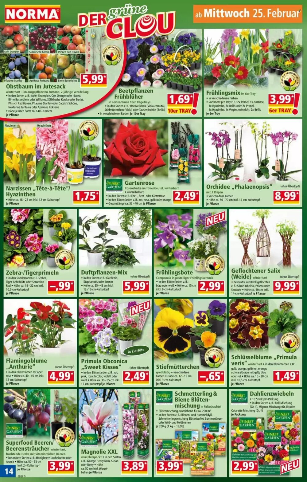 Norma Prospekt (ab 23.02.2026) zum Blättern - Seite 14