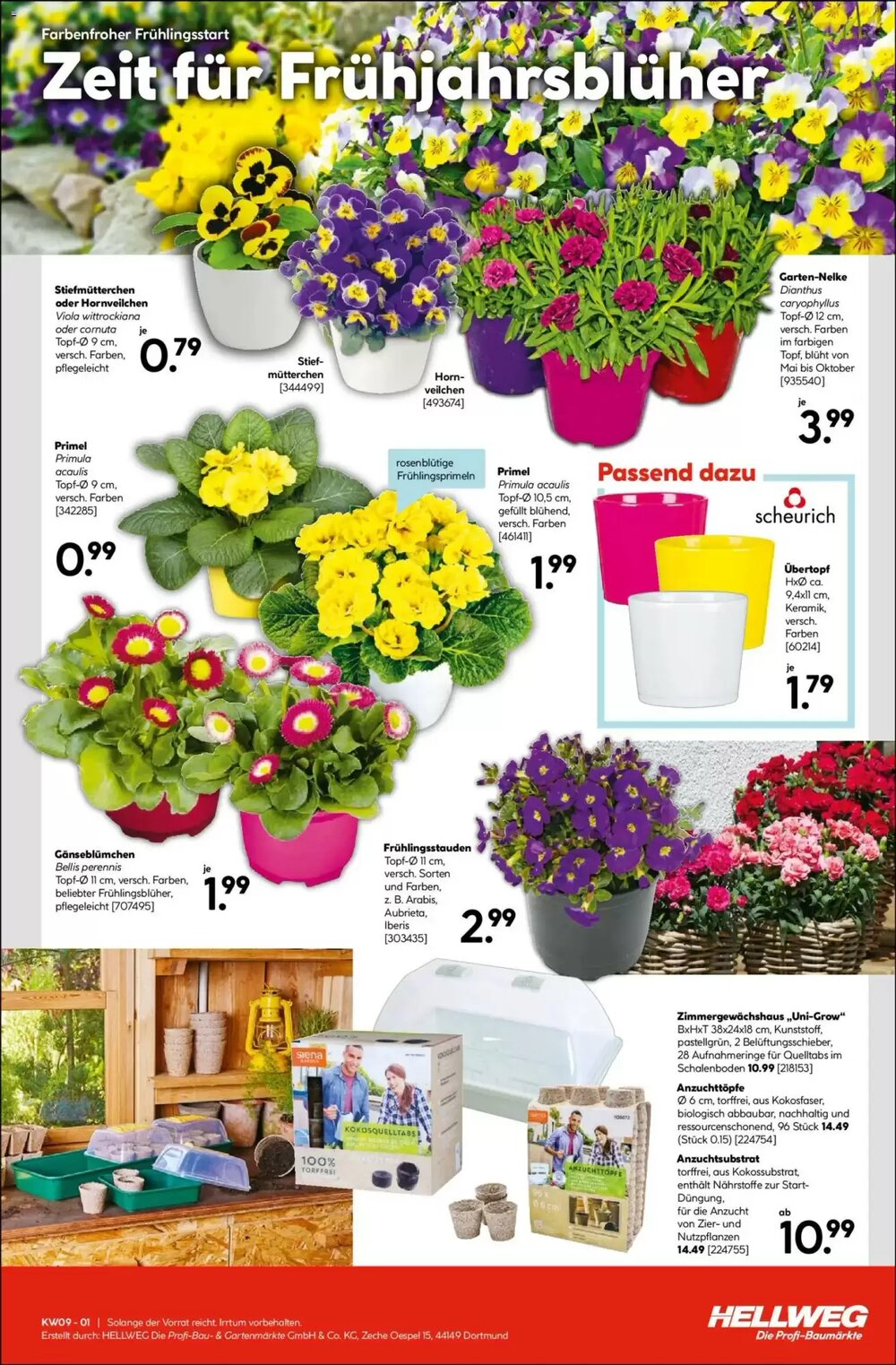 Hellweg Prospekt (ab 23.02.2026) zum Blättern - Seite 15