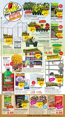 Wiglo Wunderland Prospekt (ab 23.02.2026) zum Blättern