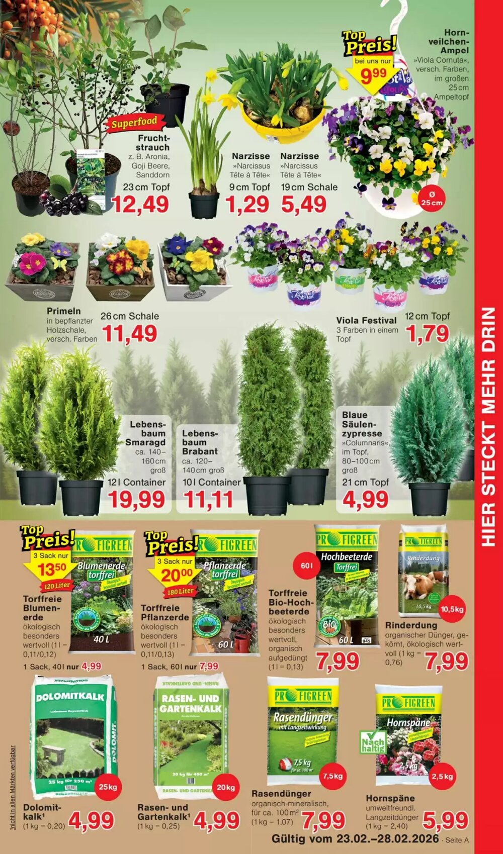 Wiglo Wunderland Prospekt (ab 23.02.2026) zum Blättern - Seite 5