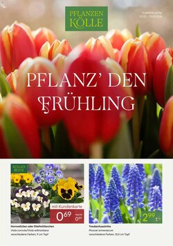 Pflanzen Kölle Prospekt (ab 23.02.2026) zum Blättern