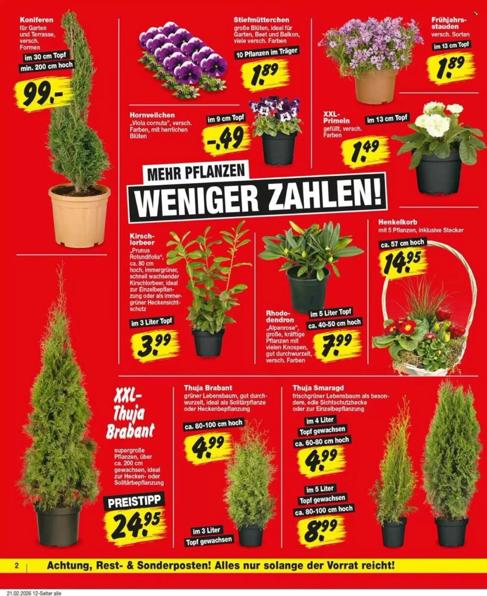 Repo Markt Prospekt (ab 23.02.2026) zum Blättern - Seite 2