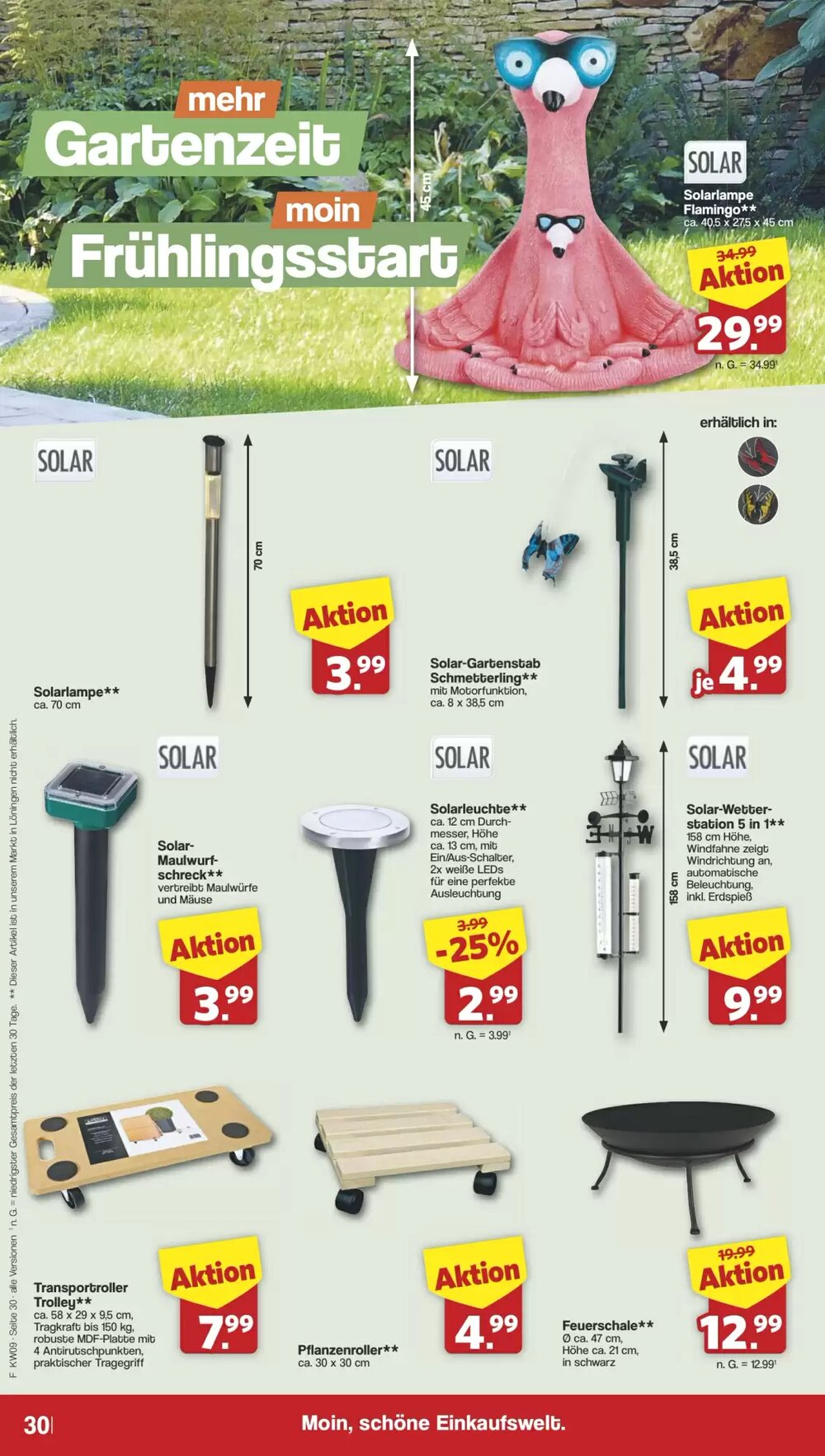 Famila Nord West Prospekt (ab 23.02.2026) zum Blättern - Seite 31