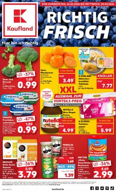 Kaufland Prospekt (ab 25.02.2026) zum Blättern