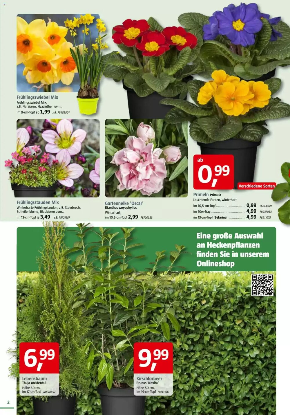 Bauhaus Prospekt (ab 28.02.2026) zum Blättern - Seite 2