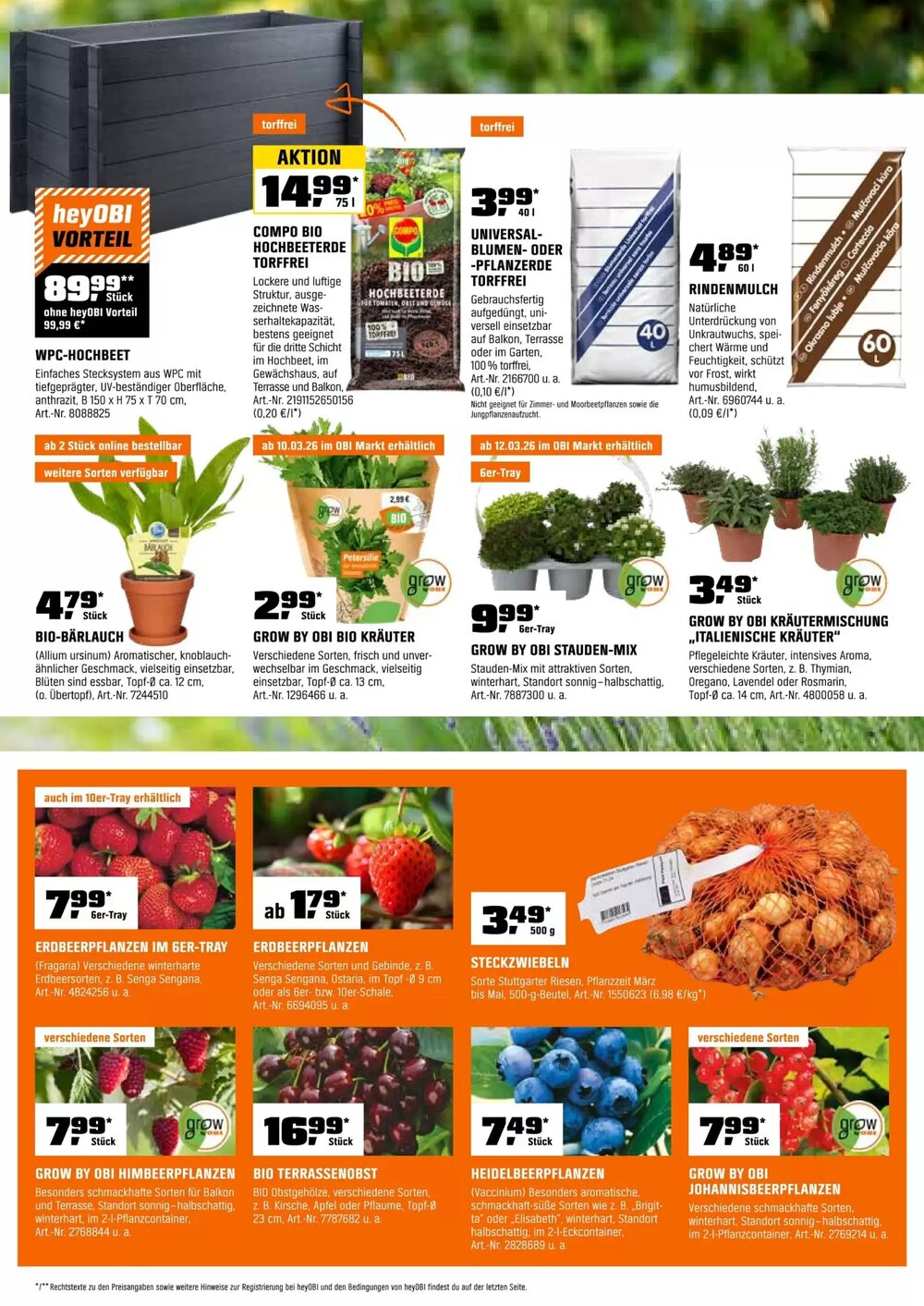 OBI Prospekt (ab 01.03.2026) zum Blättern - Seite 7