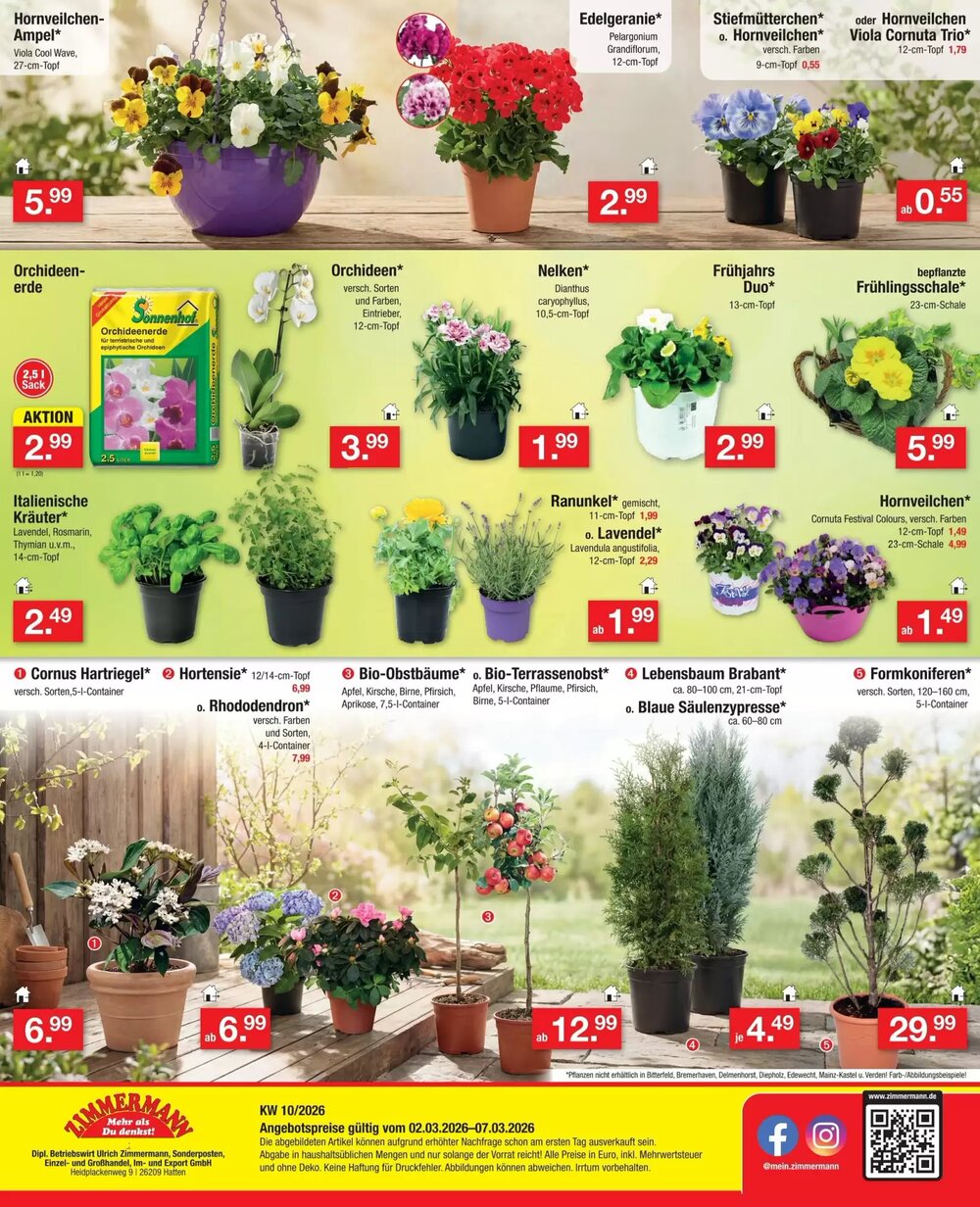 Zimmermann Prospekt (ab 02.03.2026) zum Blättern - Seite 12