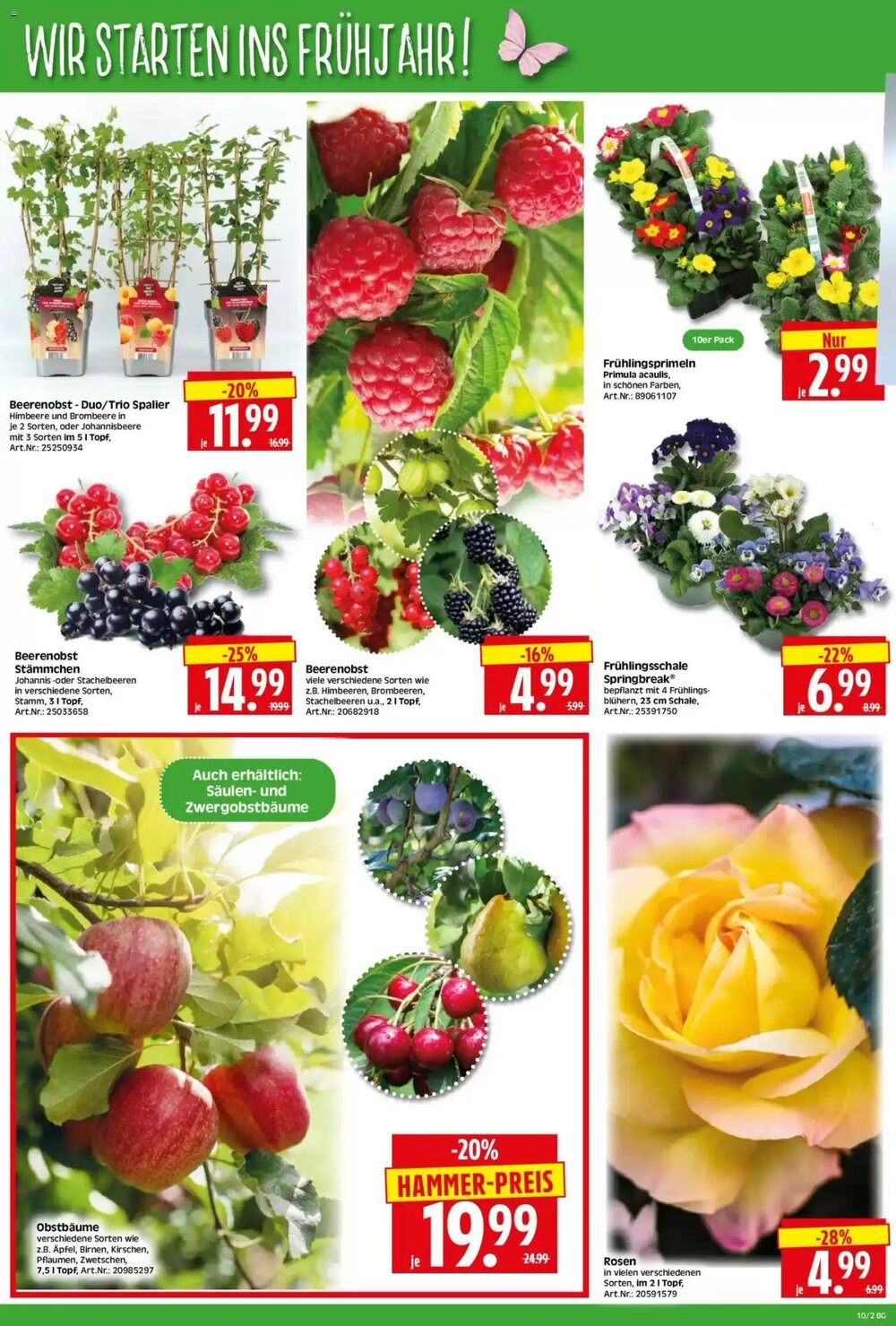 Herkules Baumarkt Prospekt (ab 02.03.2026) zum Blättern - Seite 2