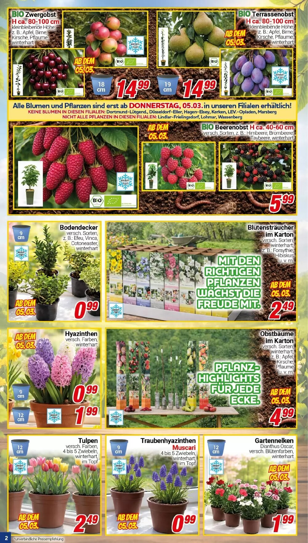 CENTERSHOP Prospekt (ab 02.03.2026) zum Blättern - Seite 2